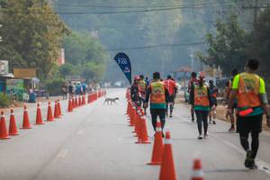 BIB: 700
                            <button type="button" onclick="openModal(10334547)" class="btn btn-primary btn-sm float-right btn-popup" data-toggle="modal" data-target=".modal-high-quality">
                        <i class="fas fa-shopping-cart"></i> Add to Cart
                    </button>
                                            <button type="button" onclick="isThisMe(10334547, true)" class="btn btn-success btn-sm float-right btn-popup btn-isme hidden" data-toggle="tooltip" data-placement="bottom" title="นี่คือรูปของคุณใช่ไหม คลิกที่นี่เพื่อเอาเข้าอัลบั้ม">
                        <i class="fas fa-plus"></i> Add to album
                    </button>
                    <button type="button" onclick="isThisMe(10334547, false)" class="btn btn-warning btn-sm float-right btn-popup btn-isnotme hidden">
                        <i class="fas fa-ban"></i> Remove from album
                    </button>